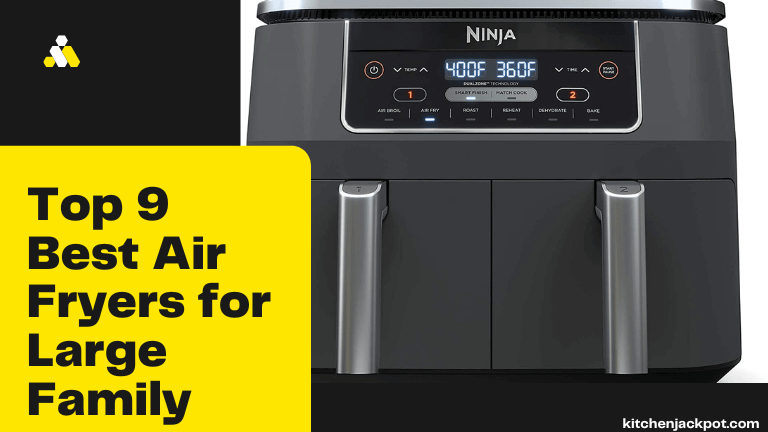 Top 9 Best Air Fryers for Large Family
